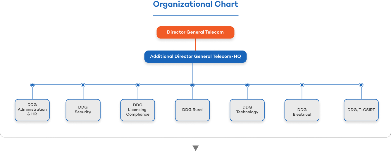 Organisational Structure